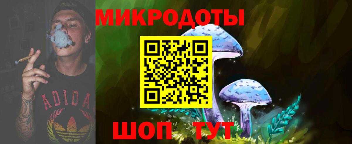 Псилоцибиновые грибы мухоморы  Вход с VPN  Кингисепп  Галлюциногенные грибы мицелий 